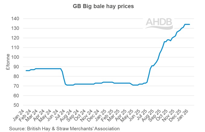 Graph showing GB big bale hay weekly prices 11 January 2026.